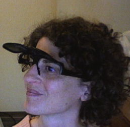 jodi ornithopter