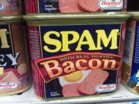 spam with bacon