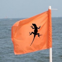linchpin flag image